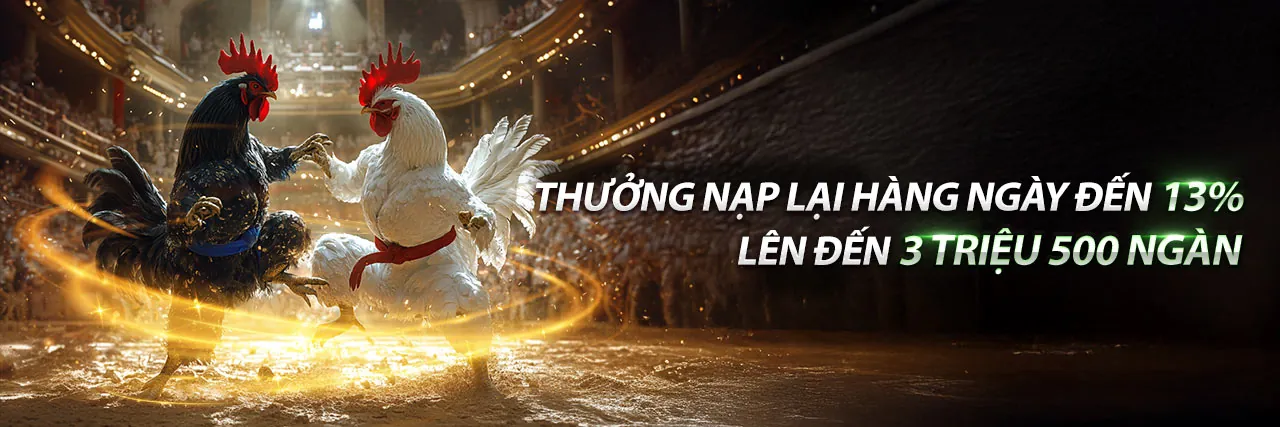 Đá Gà Trực Tuyến C54